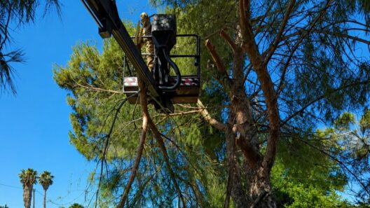 Δυτική Αχαΐα χόρτων και εύφλεκτων υλικών