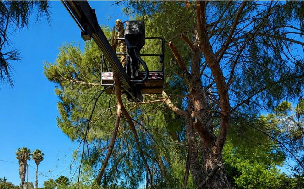 Δυτική Αχαΐα χόρτων και εύφλεκτων υλικών