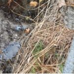 Καμίνια: Το νερό τρέχει, ανεξέλεγκτα, δίπλα στο Κοιμητήριο, εδώ κι έναν χρόνο ΦΩΤΟ