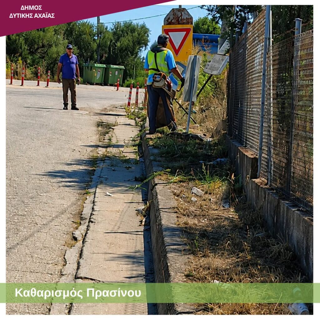 Δυτική Αχαΐα: Επιχείρηση «καθαρά οικόπεδα» με εύφλεκτη βλάστηση, με τον φόβο να καούν ΦΩΤΟ