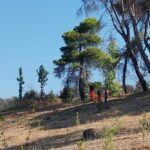 Δράση του Συλλόγου Γηροκομειού Πάτρας, στο άλσος ΦΩΤΟ