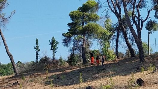 Δράση του Συλλόγου Γηροκομειού Πάτρας, στο άλσος ΦΩΤΟ 14 Δράση του Συλλόγου Γηροκομειού Πάτρας, στο άλσος ΦΩΤΟ