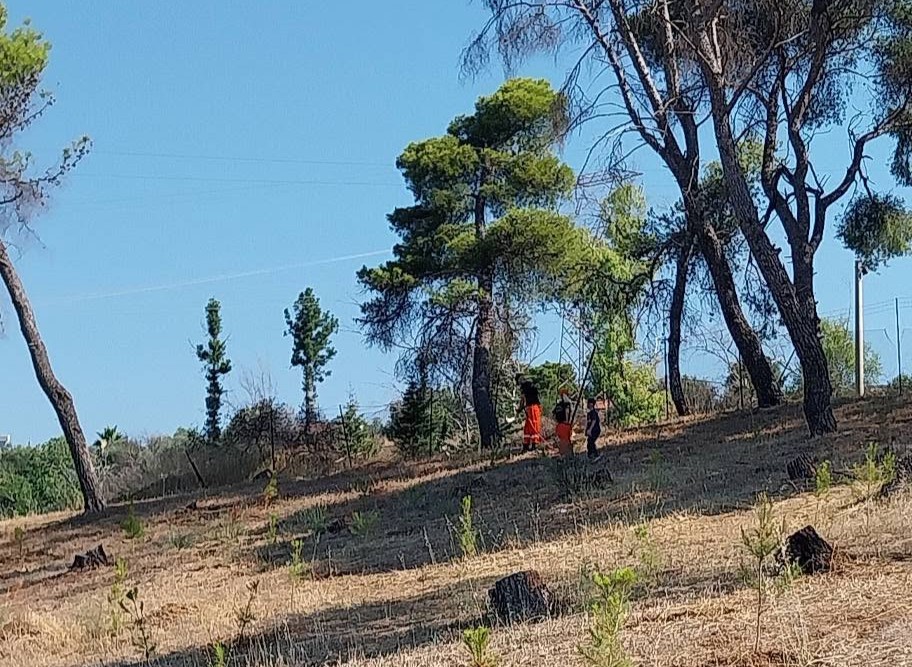 Δράση του Συλλόγου Γηροκομειού Πάτρας, στο άλσος ΦΩΤΟ