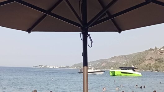 Αχαΐα: «Δεν δημιουργήθηκε κίνδυνος» απαντά ο ιδιοκτήτης του σκάφους που προσέγγισε λουόμενους και επενέβη το Λιμενικό 12 Αχαΐα: «Δεν δημιουργήθηκε κίνδυνος» απαντά ο ιδιοκτήτης του σκάφους που προσέγγισε λουόμενους και επενέβη το Λιμενικό