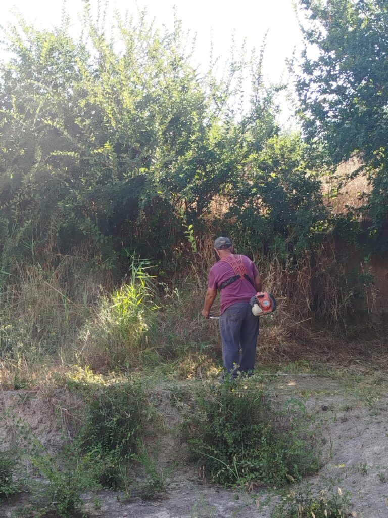 Αιγιάλεια: Ξεκίνησαν εργασίες στον χώρο της Αρχαίας Ελίκης ΦΩΤΟ