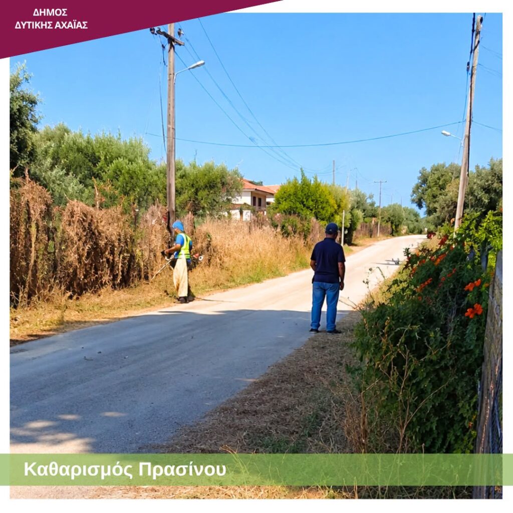 Δυτική Αχαΐα: Επιχείρηση «καθαρά οικόπεδα» με εύφλεκτη βλάστηση, με τον φόβο να καούν ΦΩΤΟ