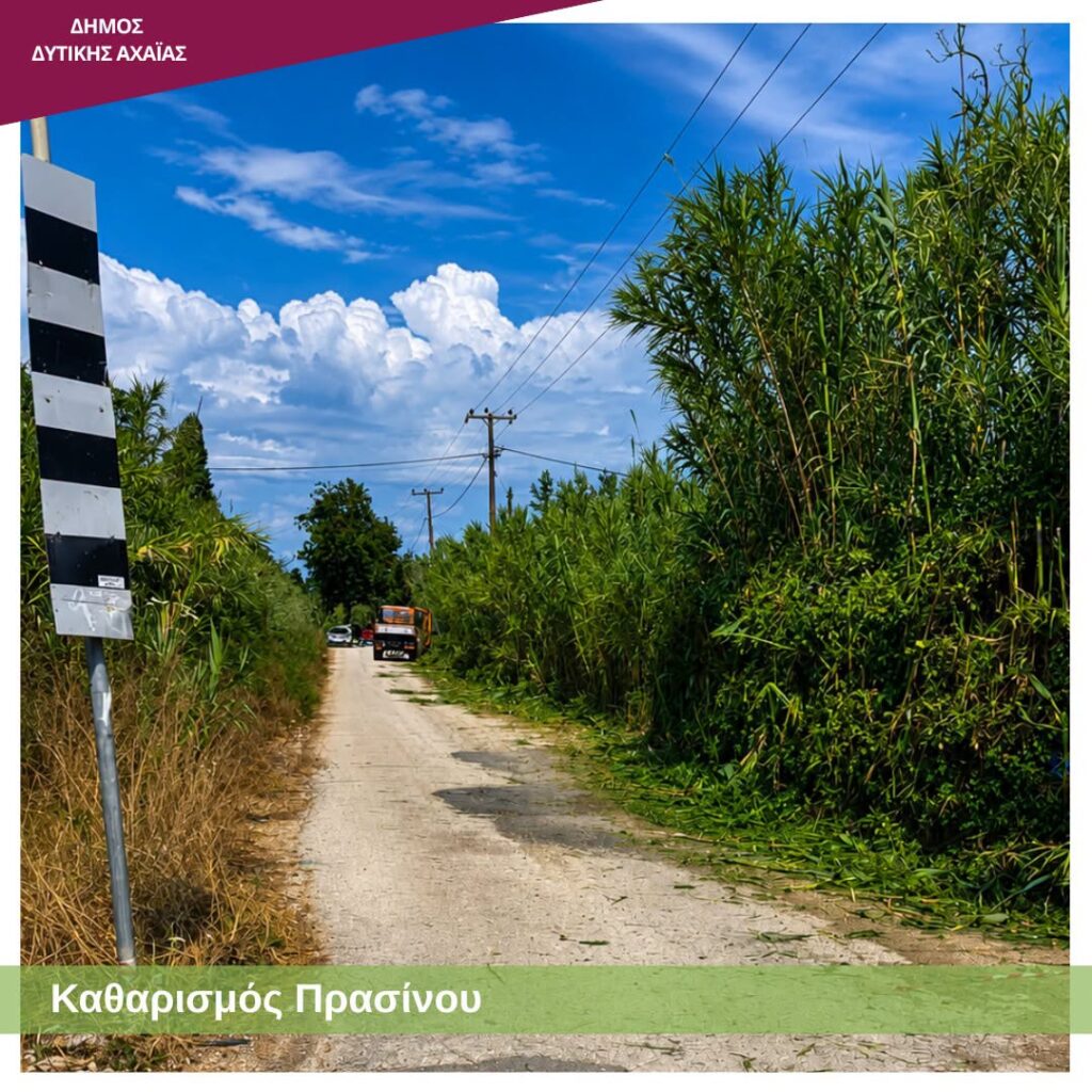 Δυτική Αχαΐα: Επιχείρηση «καθαρά οικόπεδα» με εύφλεκτη βλάστηση, με τον φόβο να καούν ΦΩΤΟ