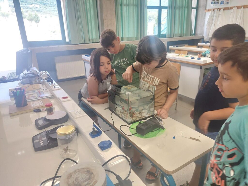 Αρσάκειο Summer Camp 2026 – «Μαθαίνω – Παίζω – Δημιουργώ», στην Πάτρα ΦΩΤΟ