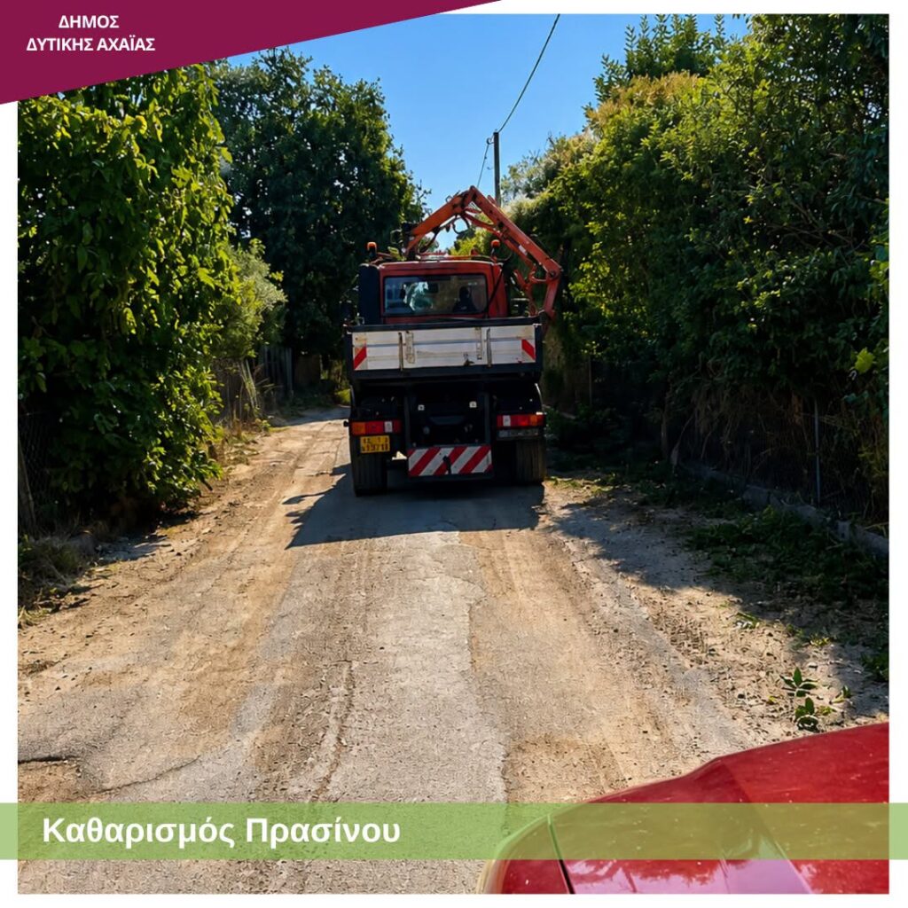 Δυτική Αχαΐα: Επιχείρηση «καθαρά οικόπεδα» με εύφλεκτη βλάστηση, με τον φόβο να καούν ΦΩΤΟ