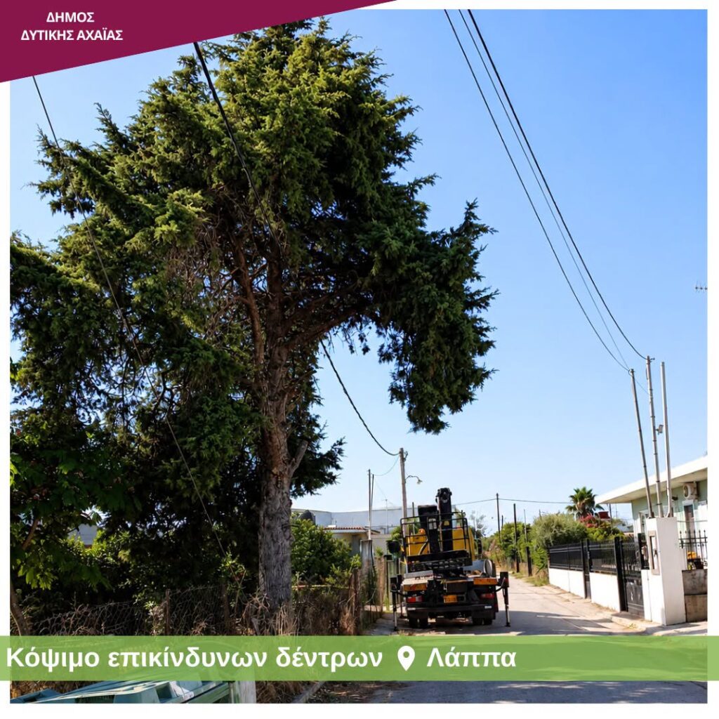 Δυτική Αχαΐα: Μείωση του κινδύνου εκδήλωσης και εξάπλωσης πυρκαγιών ΦΩΤΟ