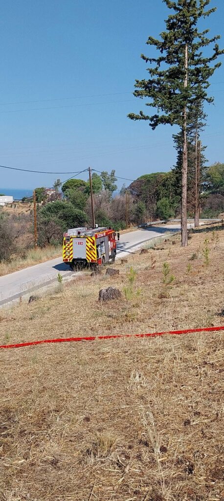 Δράση του Συλλόγου Γηροκομειού Πάτρας, στο άλσος ΦΩΤΟ 8 Δράση του Συλλόγου Γηροκομειού Πάτρας, στο άλσος ΦΩΤΟ