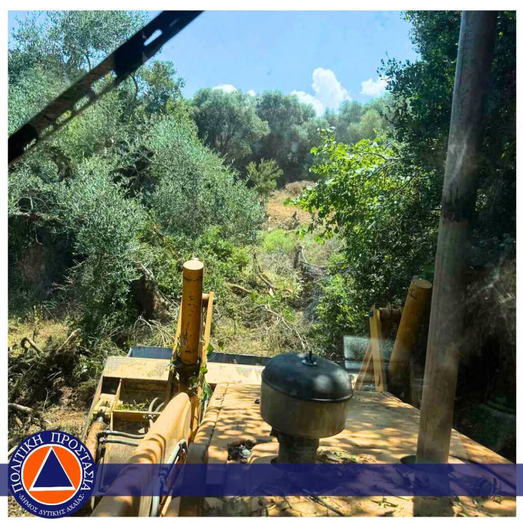 Αχαΐα: Απομάκρυνση καύσιμης ύλης, για τη μη εξάπλωσης δασικών πυρκαγιών ΦΩΤΟ