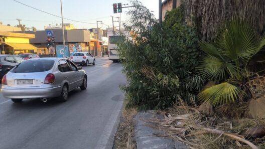 Παραλία: Αδιαπέραστα πεζοδρόμια, από χόρτα, για ταλαίπωρους πεζούς ΦΩΤΟ