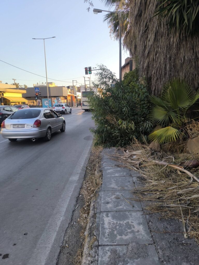 Παραλία: Αδιαπέραστα πεζοδρόμια, από χόρτα, για ταλαίπωρους πεζούς ΦΩΤΟ