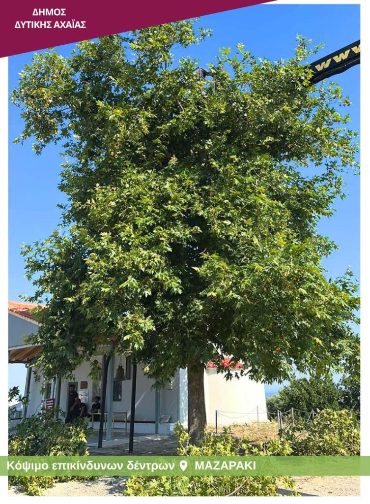 Δυτική Αχαΐα: Φροντίδα κοινόχρηστων χώρων, για την προστασία του περιβάλλοντος ΦΩΤΟ