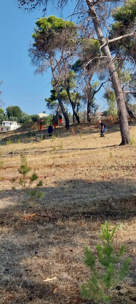 Δράση του Συλλόγου Γηροκομειού Πάτρας, στο άλσος ΦΩΤΟ