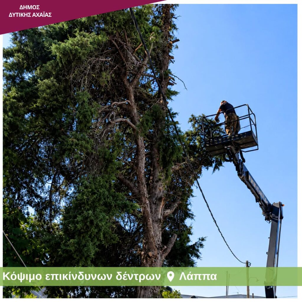 Δυτική Αχαΐα: Μείωση του κινδύνου εκδήλωσης και εξάπλωσης πυρκαγιών ΦΩΤΟ