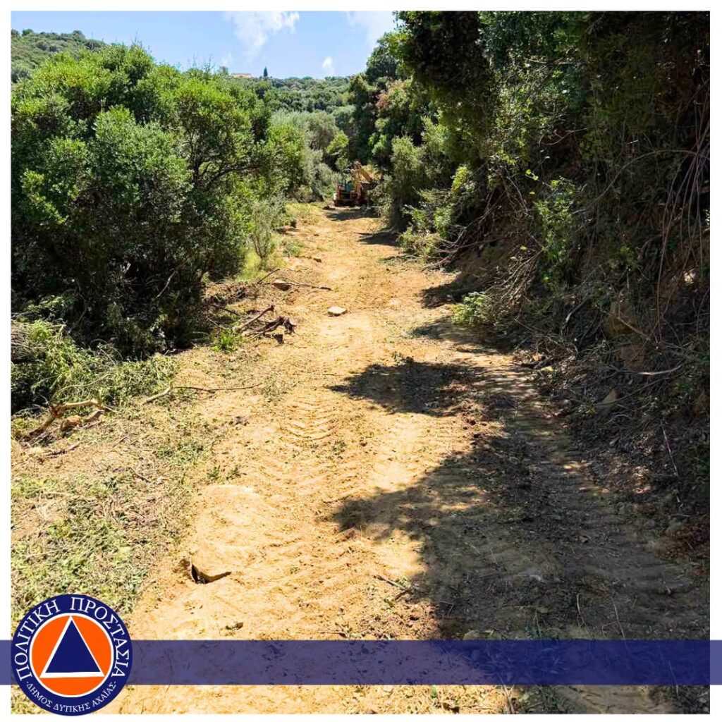 Αχαΐα: Απομάκρυνση καύσιμης ύλης, για τη μη εξάπλωσης δασικών πυρκαγιών ΦΩΤΟ