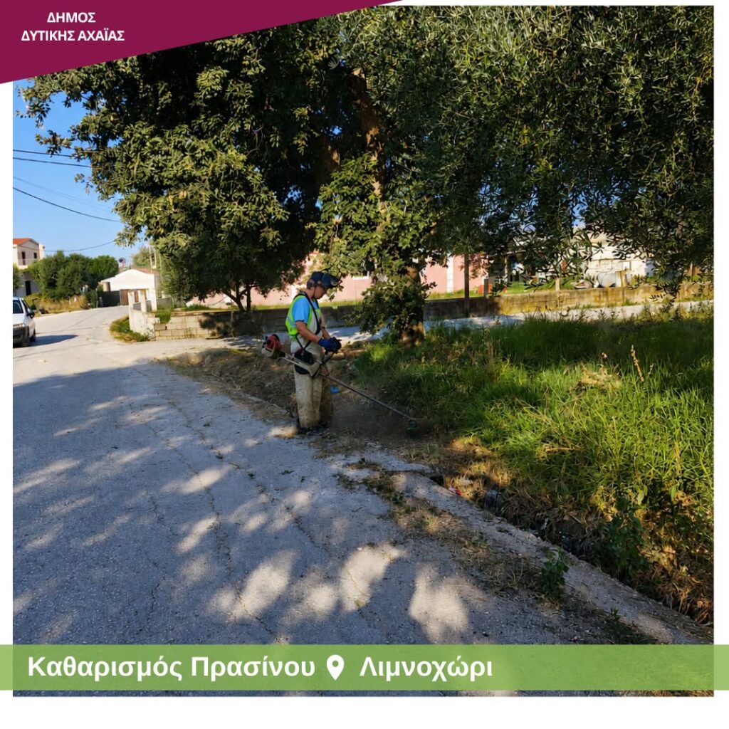 Αχαΐα: Παρεμβάσεις καθαρισμού πρασίνου κατά μήκος του οδικού δικτύου ΦΩΤΟ