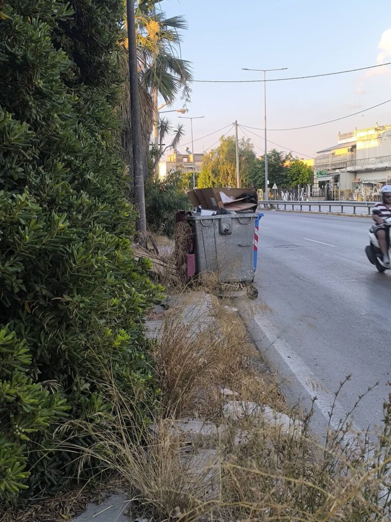 Παραλία: Αδιαπέραστα πεζοδρόμια, από χόρτα, για ταλαίπωρους πεζούς ΦΩΤΟ
