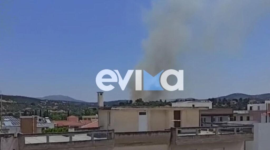 Εύβοια: Εκκενώνεται οικισμός στο Αλιβέρι λόγω πυρκαγιάς ΦΩΤΟ