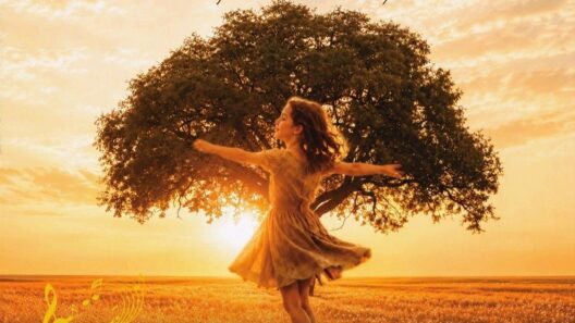 Το Φεστιβάλ από τον Πολιτιστικό Σύλλογο και το Χορευτικό Σουλίου 16 Φεστιβάλ από τον Πολιτιστικό Σύλλογο και Χορευτικό Σουλιού