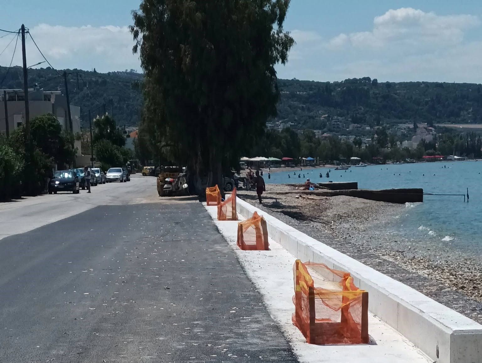 Μονοδένδρι: Εφτιαξαν το παραλιακό δρόμο, από το «φάγωμα» της θάλασσας, άλλά κατάπιαν» τα δέντρα ΦΩΤΟ 1 Μονοδένδρι: Εφτιαξαν το παραλιακό δρόμο, από το «φάγωμα» της θάλασσας, άλλά κατάπιαν» τα δέντρα ΦΩΤΟ