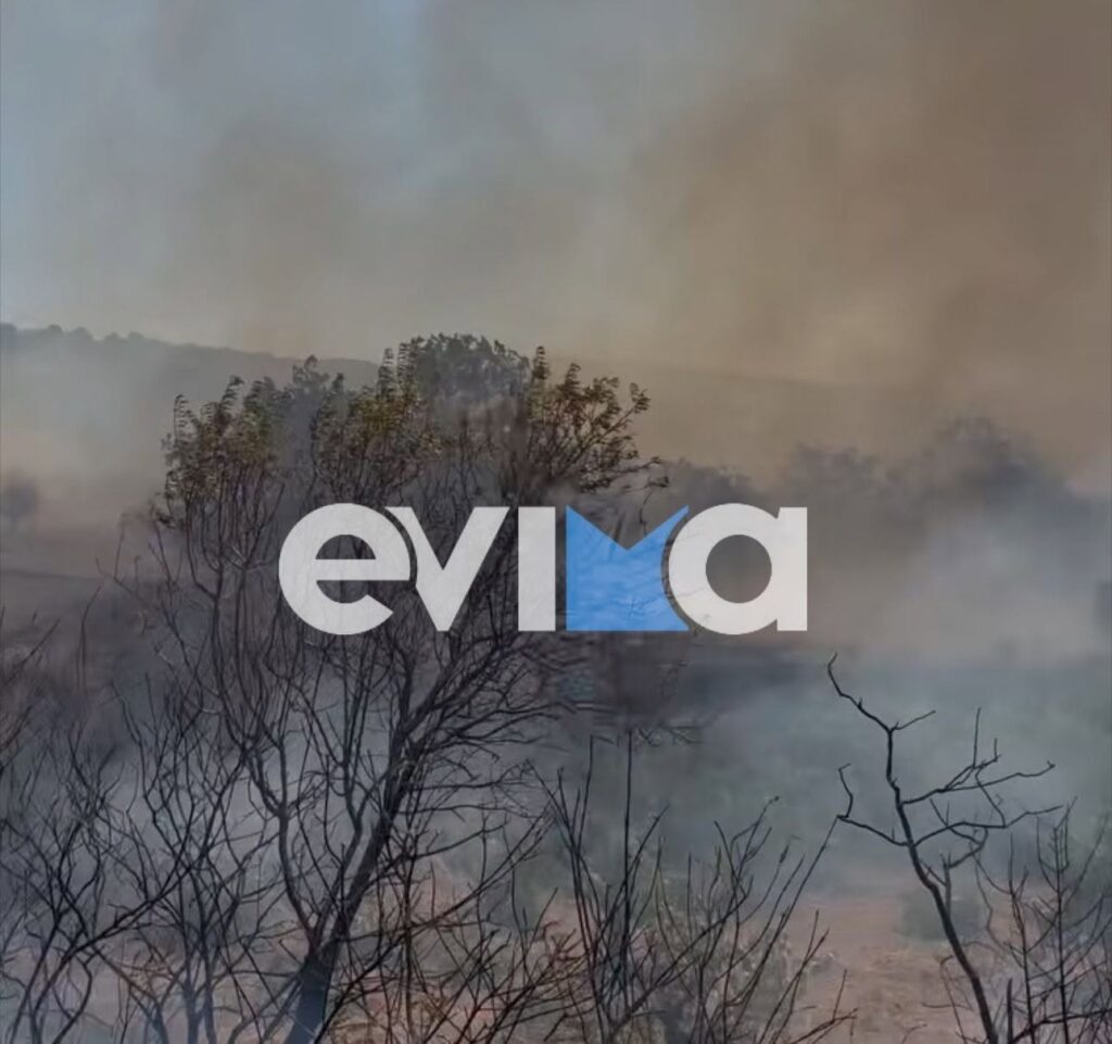 Εύβοια: Εκκενώνεται οικισμός στο Αλιβέρι λόγω πυρκαγιάς ΦΩΤΟ