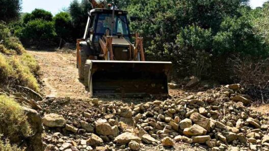 Αχαΐα: Απομάκρυνση καύσιμης ύλης, για τη μη εξάπλωσης δασικών πυρκαγιών ΦΩΤΟ 14 Αχαΐα: Απομάκρυνση καύσιμης ύλης, για τη μη εξάπλωσης δασικών πυρκαγιών ΦΩΤΟ
