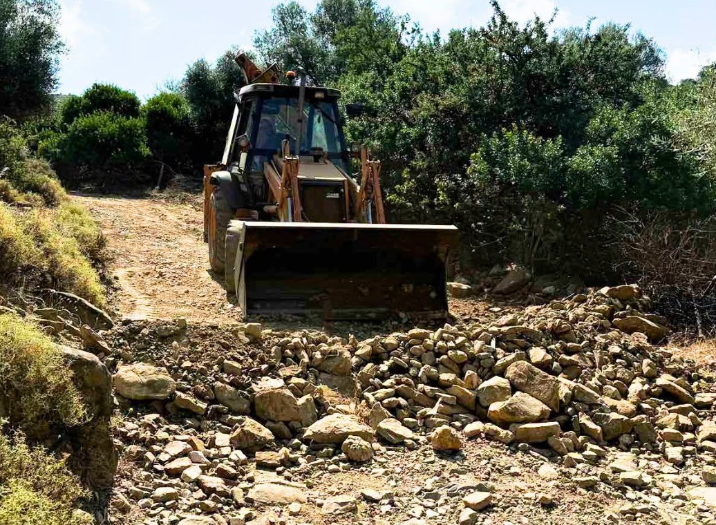 Αχαΐα: Απομάκρυνση καύσιμης ύλης, για τη μη εξάπλωσης δασικών πυρκαγιών ΦΩΤΟ