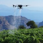 Αχαΐα: Καλλιέργεια αμπελιών με drone, εναέρια εποπτεία και εξοικονόμηση νερού ΦΩΤΟ