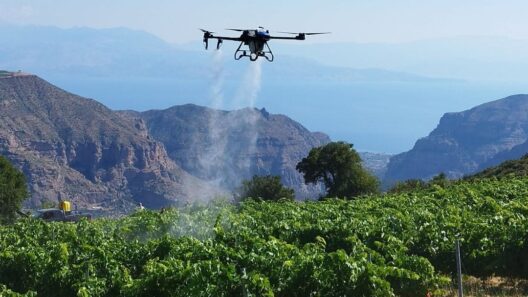 Αχαΐα: Καλλιέργεια αμπελιών με drone, εναέρια εποπτεία και εξοικονόμηση νερού ΦΩΤΟ 12 Αχαΐα: Καλλιέργεια αμπελιών με drone, εναέρια εποπτεία και εξοικονόμηση νερού ΦΩΤΟ