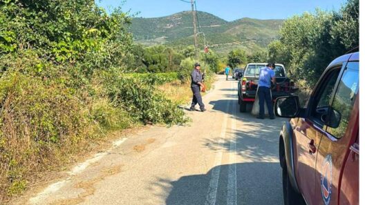 Δυτική Αχαΐα: Φροντίδα κοινόχρηστων χώρων, για την προστασία του περιβάλλοντος ΦΩΤΟ 12 Δυτική Αχαΐα: Φροντίδα κοινόχρηστων χώρων, για την προστασία του περιβάλλοντος ΦΩΤΟ