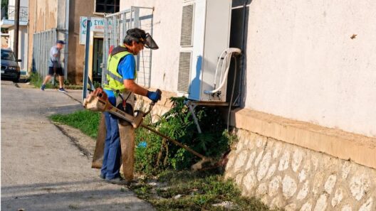 Δυτική Αχαΐα: Καλλωπισμός του πρασίνου για πιο καθαρό και όμορφο δήμο ΦΩΤΟ 28 Δυτική Αχαΐα: Καλλωπισμός του πρασίνου για πιο καθαρό και όμορφο δήμο ΦΩΤΟ