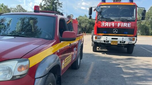 Αχαΐα: Σε πλήρη επιφυλακή οι Εθελοντές Πυροσβέστες για τον κίνδυνο πυρκαγιάς ΦΩΤΟ 12 Οθόνη υπολογιστή με πυρκαγιά