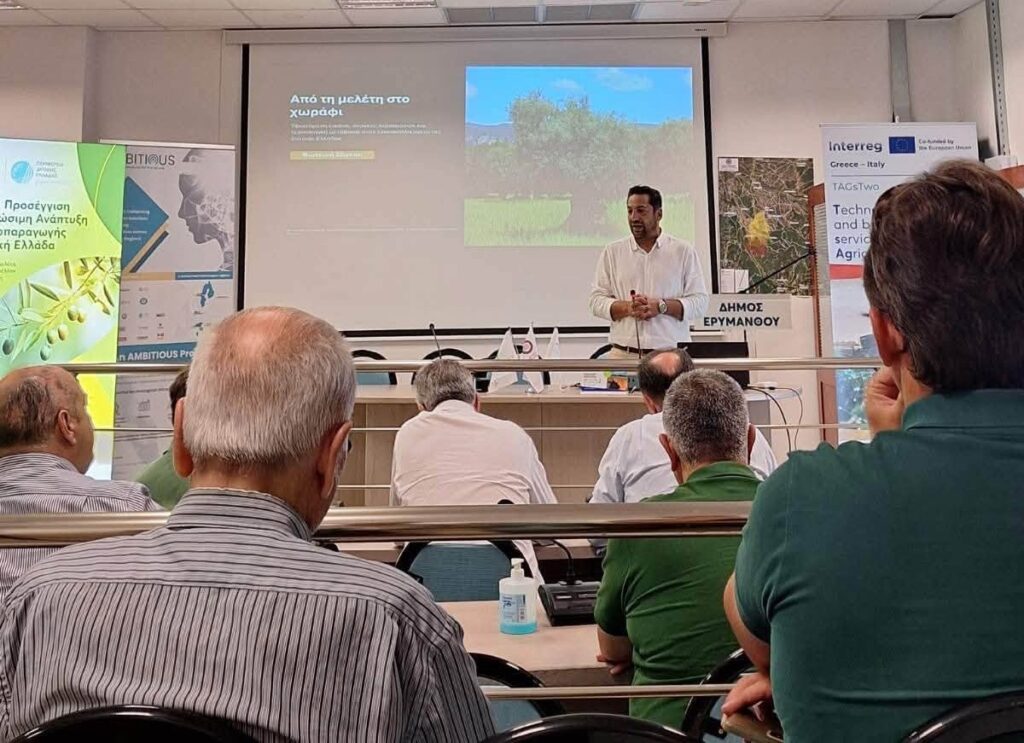 Άνδρας παρουσιάζει για τη βιώσιμη ελαιοπαραγωγή σε κοινό, με ελαιώ…