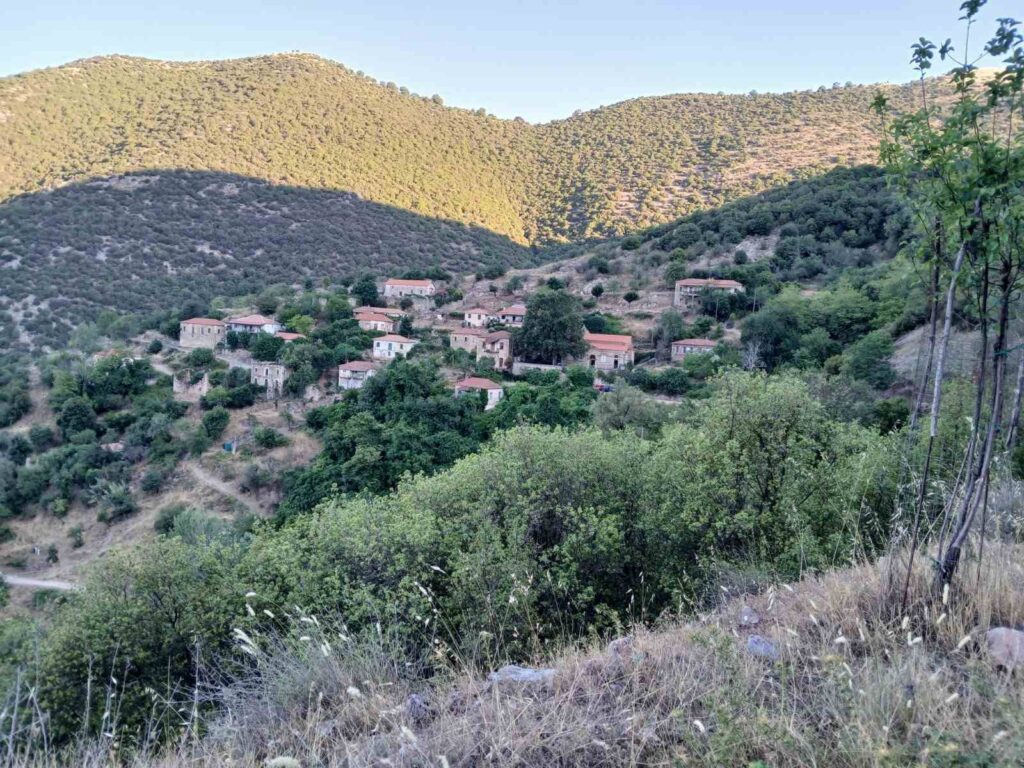 Εορτασμός στο χωριό Αλέσταινα ΦΩΤΟ 5 Εορτασμός στο χωριό Αλέσταινα ΦΩΤΟ