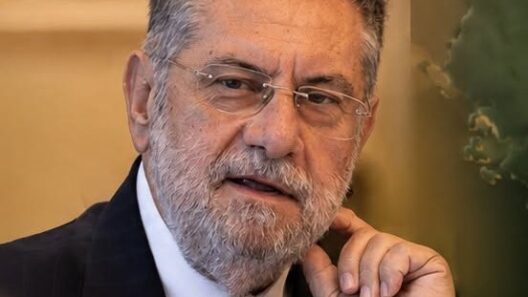 «Εθνική στρατηγική για τον Ελληνικό Ελαιοκομικό τομέα»