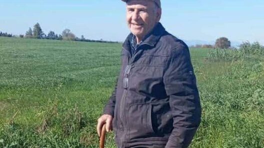 Αίσιο τέλος στην περιπέτεια