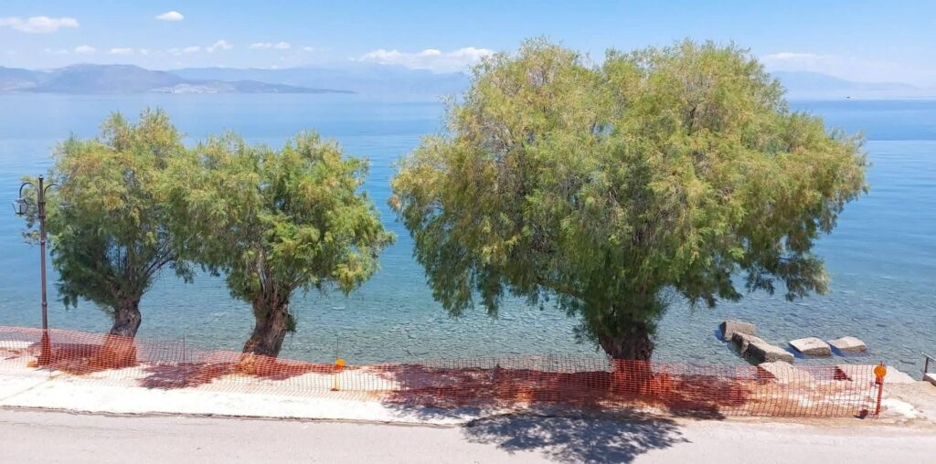 Διακοπτό: Διαβρωμένος παραλιακός δρόμος για 20 χρόνια με τσιμεντένιες σκάλες πλέον στο νερό ΦΩΤΟ 5 Διακοπτό: Διαβρωμένος παραλιακός δρόμος για 20 χρόνια με τσιμεντένιες σκάλες πλέον στο νερό ΦΩΤΟ