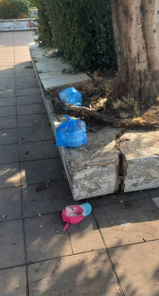 Πάτρα: Εικόνες ντροπής και αίσχους με σκουπίδια, δυσοσμία, αδέσποτα και τρωκτικά ΦΩΤΟ