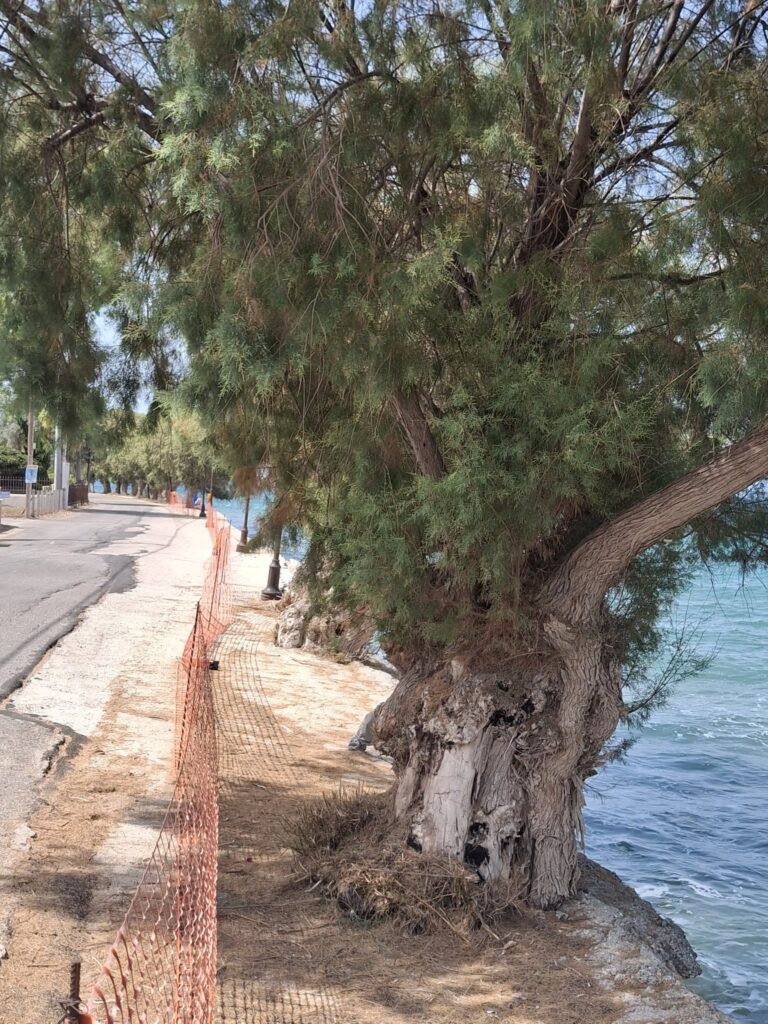 Διακοπτό: Διαβρωμένος παραλιακός δρόμος για 20 χρόνια με τσιμεντένιες σκάλες πλέον στο νερό ΦΩΤΟ 7 Διακοπτό: Διαβρωμένος παραλιακός δρόμος για 20 χρόνια με τσιμεντένιες σκάλες πλέον στο νερό ΦΩΤΟ