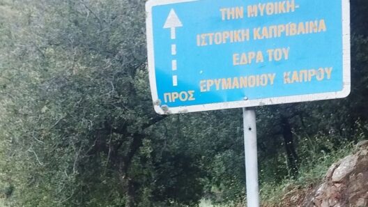 Η διαδρομή προς τη μυθική Καπρίβαινα από τον Σύνδεσμο Καμενιανιτών - Δροβολοβιτών - ΔεσινιωτώνΦΩΤ0 12 Η διαδρομή προς τη μυθική Καπρίβαινα από τον Σύνδεσμο Καμενιανιτών - Δροβολοβιτών - ΔεσινιωτώνΦΩΤ0