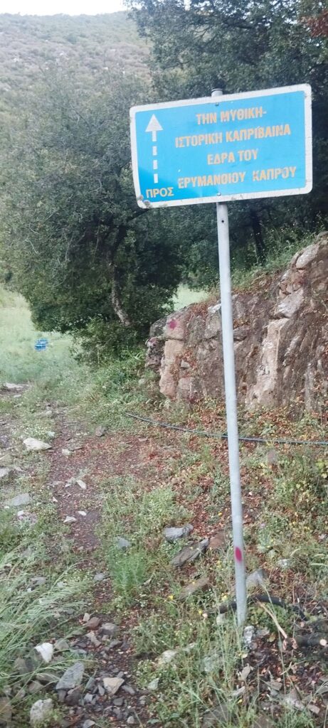 Η διαδρομή προς τη μυθική Καπρίβαινα από τον Σύνδεσμο Καμενιανιτών - Δροβολοβιτών - ΔεσινιωτώνΦΩΤ0 6 Η διαδρομή προς τη μυθική Καπρίβαινα από τον Σύνδεσμο Καμενιανιτών - Δροβολοβιτών - ΔεσινιωτώνΦΩΤ0