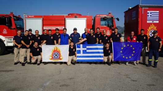 Δασοκώματοι στην 6η ΕΜΟΔΕ Πατρών