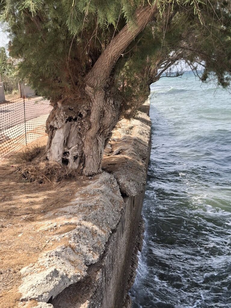 Διακοπτό: Διαβρωμένος παραλιακός δρόμος για 20 χρόνια με τσιμεντένιες σκάλες πλέον στο νερό ΦΩΤΟ