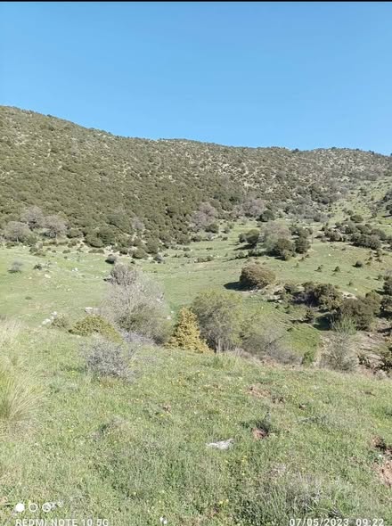Η διαδρομή προς τη μυθική Καπρίβαινα από τον Σύνδεσμο Καμενιανιτών - Δροβολοβιτών - ΔεσινιωτώνΦΩΤ0 5 Η διαδρομή προς τη μυθική Καπρίβαινα από τον Σύνδεσμο Καμενιανιτών - Δροβολοβιτών - ΔεσινιωτώνΦΩΤ0