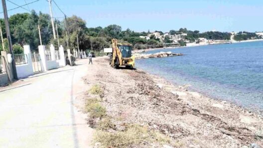 Δυτική Αχαΐα: Επιχείρηση «σκούπα» για σκουπίδια σε στεριά και θάλασσα ΦΩΤΟ
