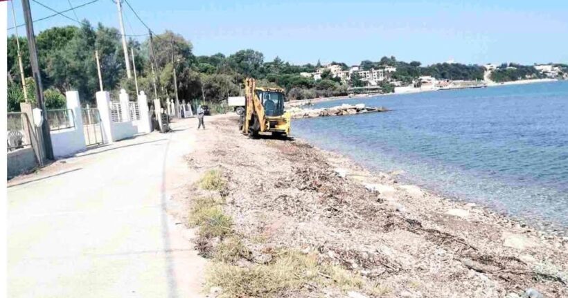 Δυτική Αχαΐα: Επιχείρηση «σκούπα» για σκουπίδια σε στεριά και θάλασσα ΦΩΤΟ 4 Δυτική Αχαΐα: Επιχείρηση «σκούπα» για σκουπίδια σε στεριά και θάλασσα ΦΩΤΟ