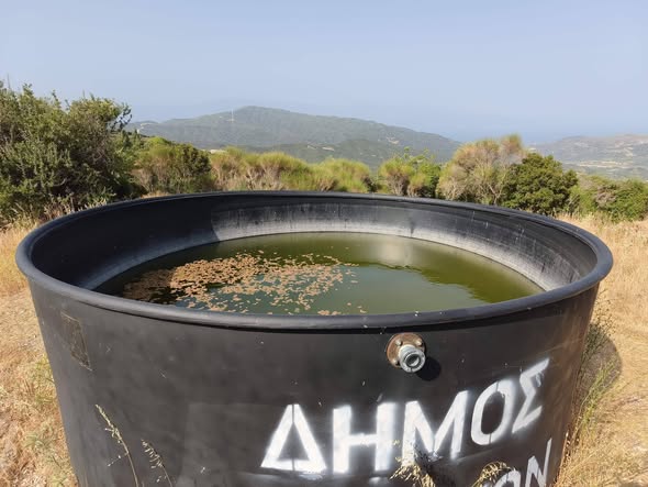 Πιτίτσα: Μισογεμάτη η δεξαμενή πυρόσβεσης του δήμου σε ημέρα ακραίου κινδύνου για πυρκαγιά ΦΩΤΟ